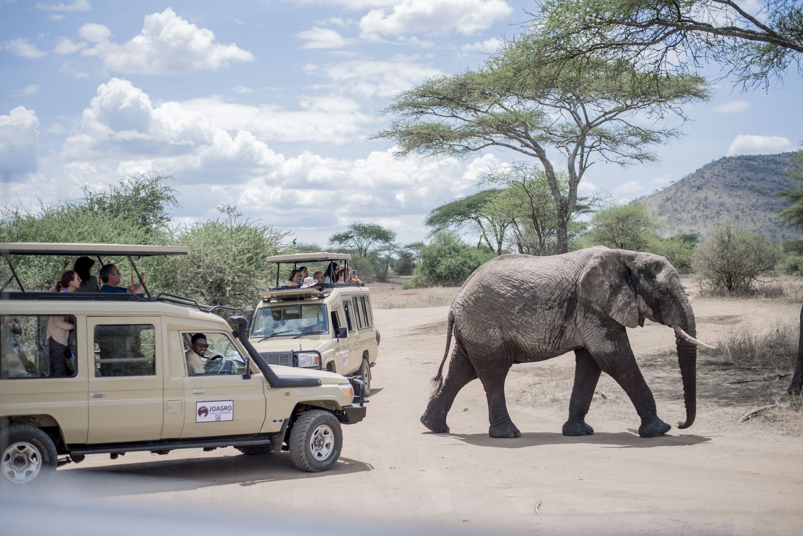 Sweeping Tanzania savannah landscape at golden hour